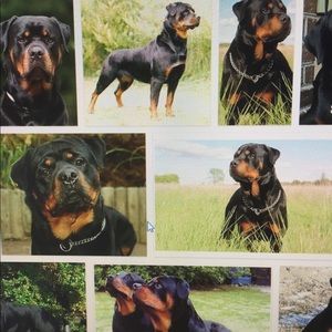 Meet your Posher, Robert